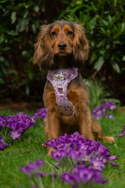 Butterfly Bliss Adventure Paws Harness