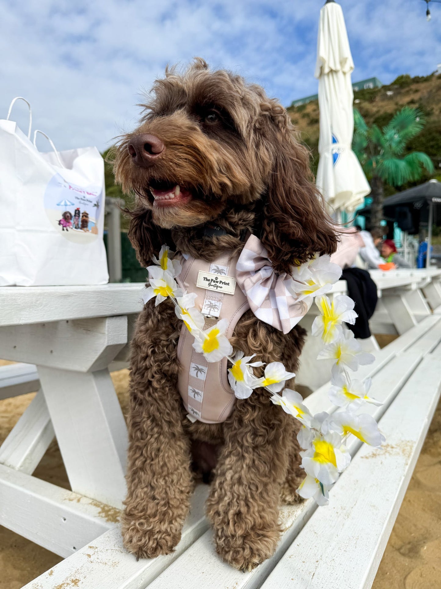 Palm Springs Bow Tie