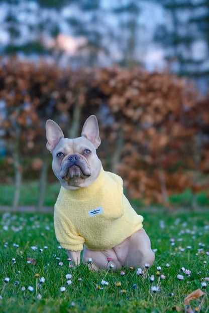 Teddy Fleece - Buttercup