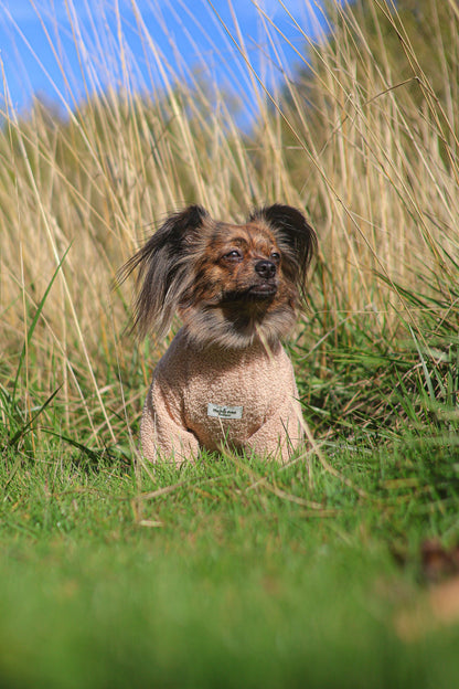 Teddy Fleece - Biscuit
