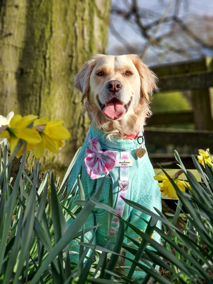 The Mint Teddy Fleece
