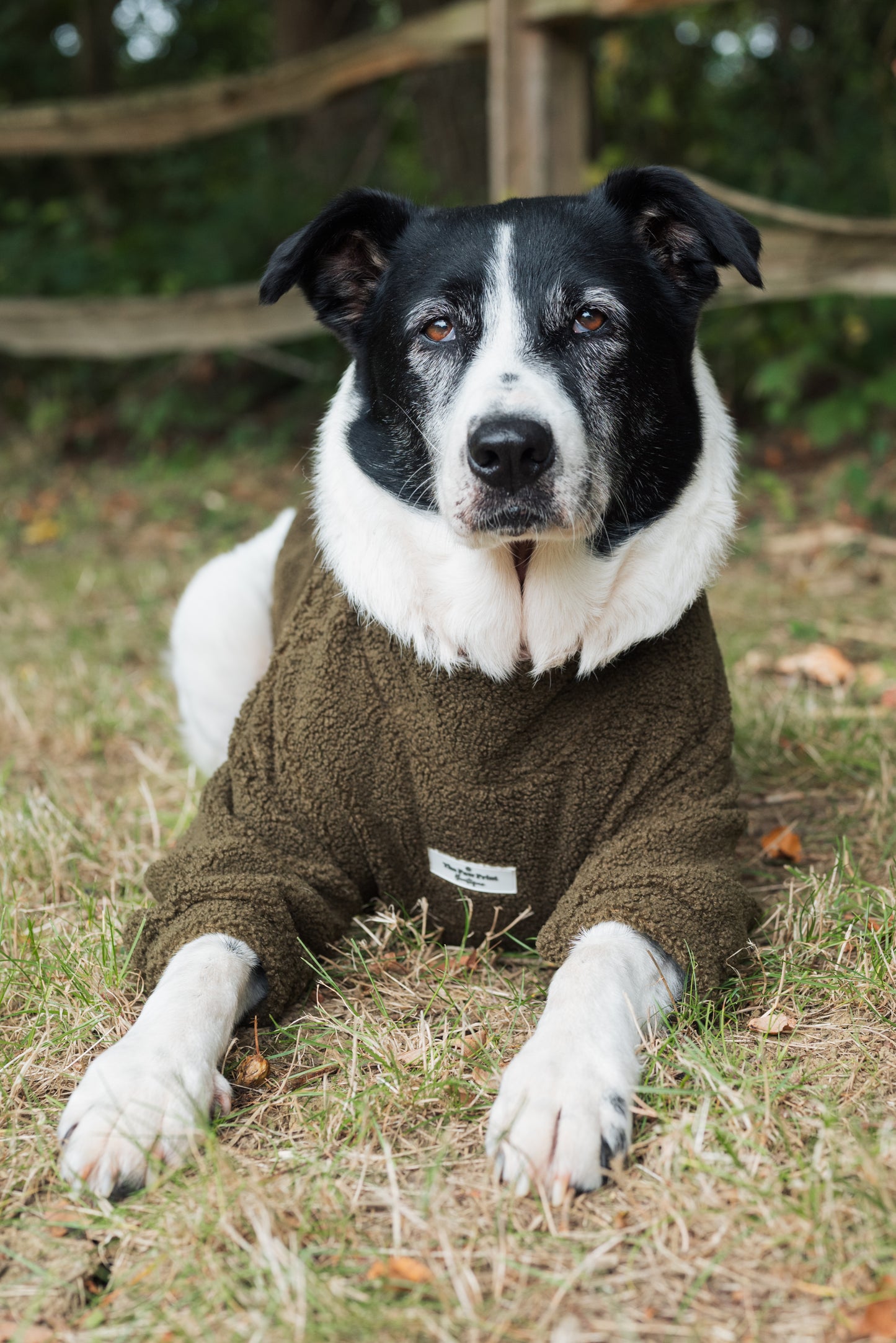 The Khaki Teddy Fleece