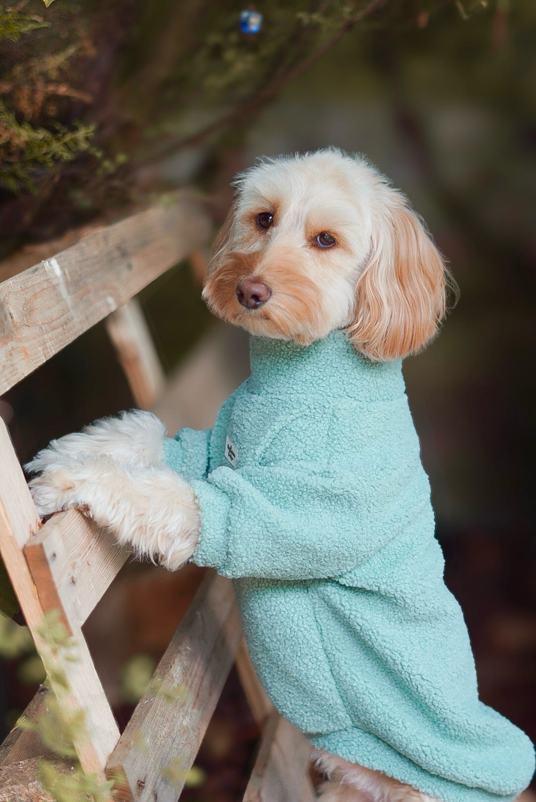 Teddy Fleece - Pistachio