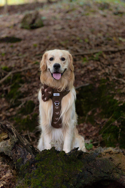 The Embroidered Little Bear Cub Adventure Paws Harness