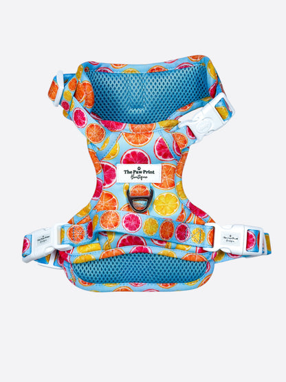 Squeeze the Day Adventure Paws Harness