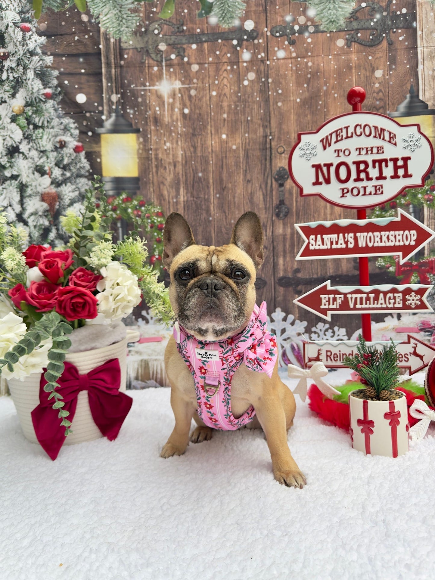 Merry Pinkmas Bow Tie