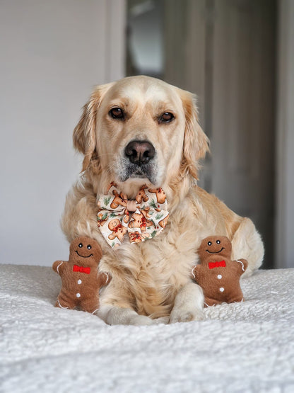 Gingerbread Grove Bow Tie
