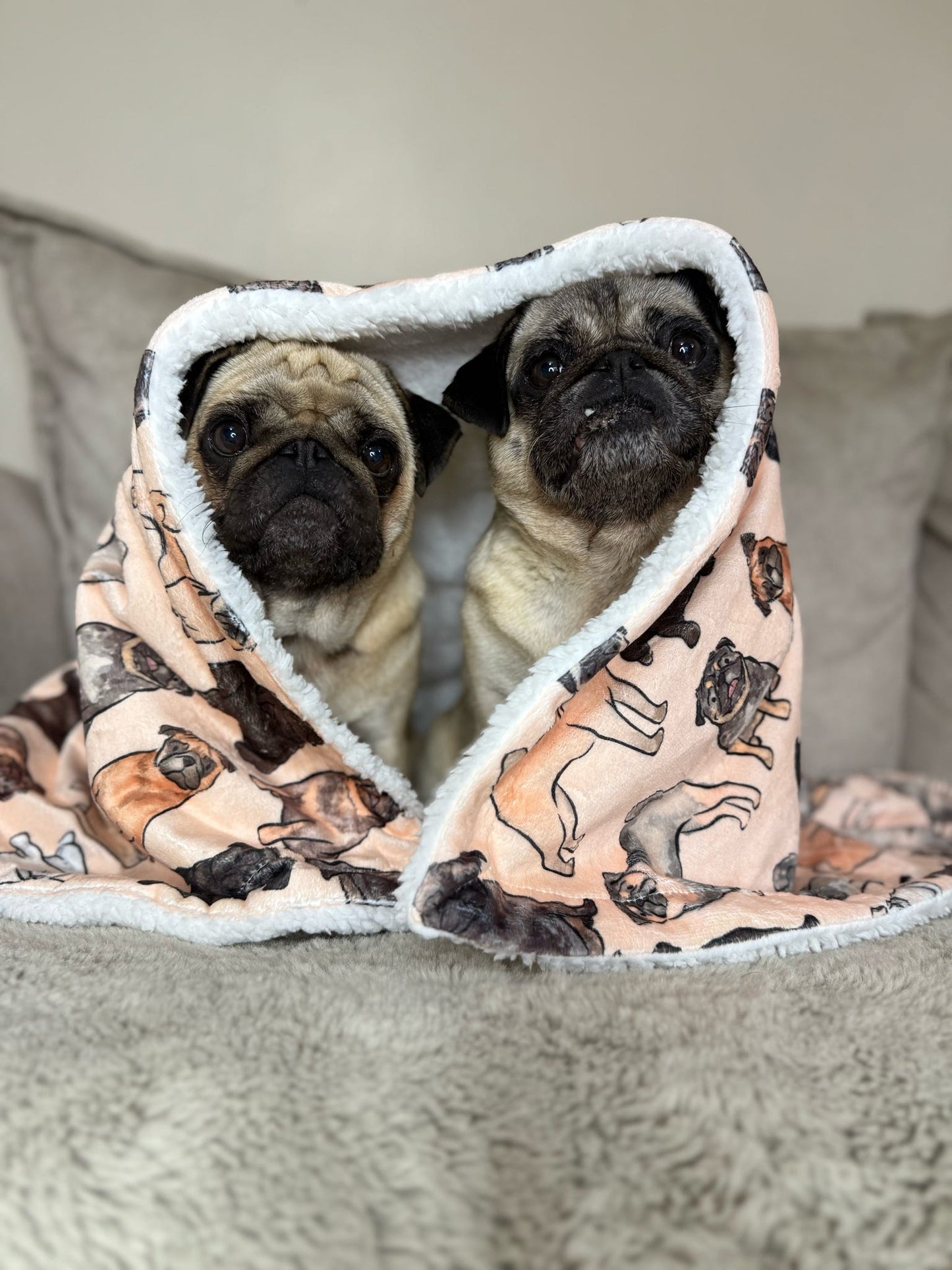 The Pug Dog Blanket