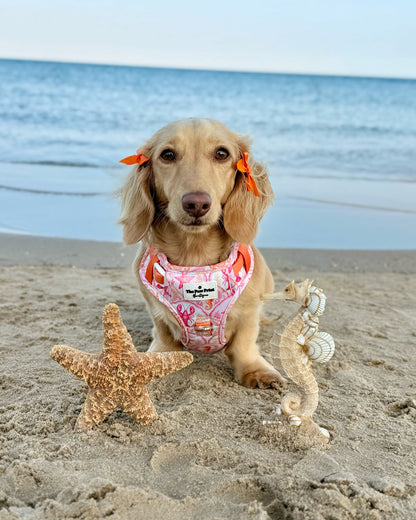 Under the Sea Paws Harness