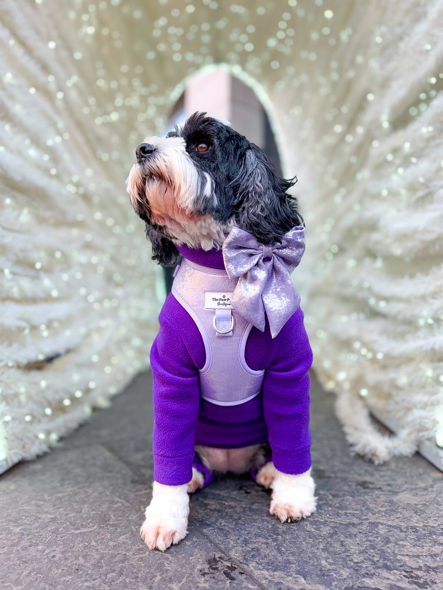 The Lavish Lilac Bow Tie