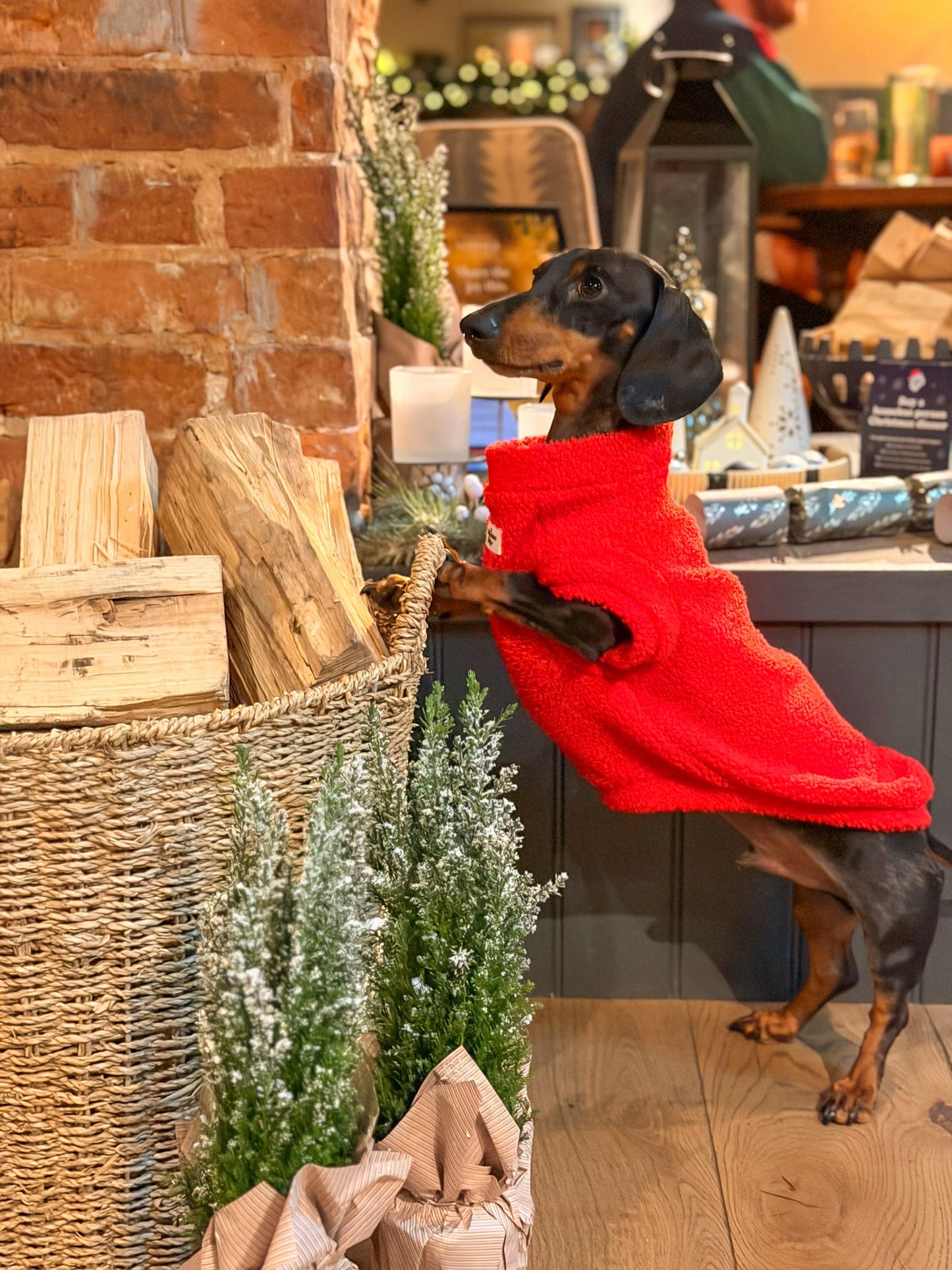 Teddy Fleece - Red Berry