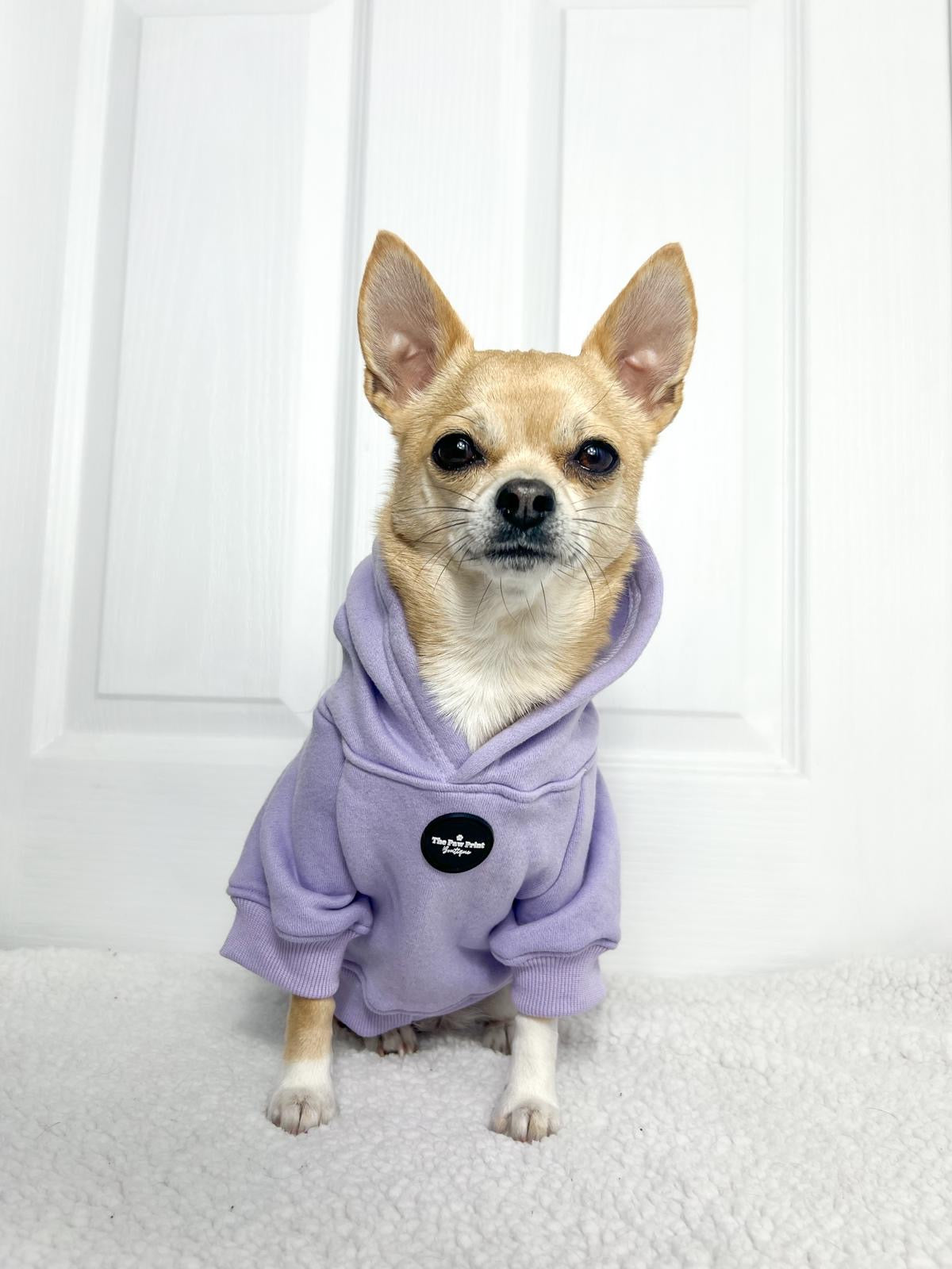 Adidas Sportswear Adidas Dog Clothes Adidog Sweatshirt Dog Hoodie