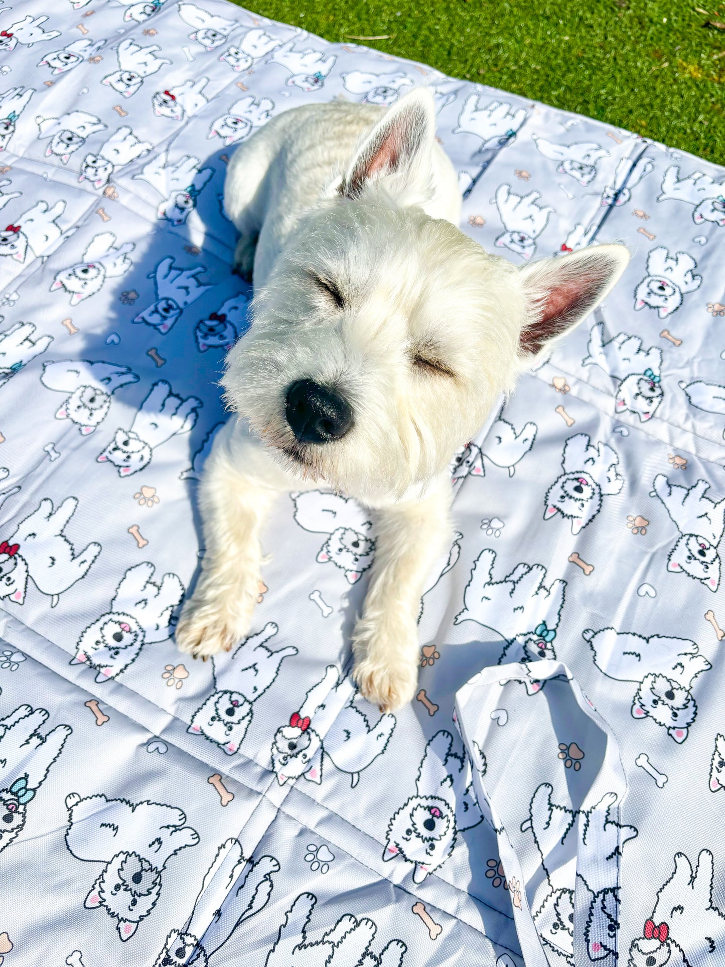 The Westie Picnic Mat