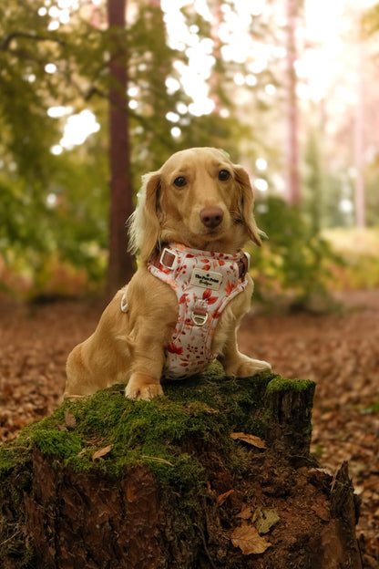 Maple Meadows Adventure Paws Harness