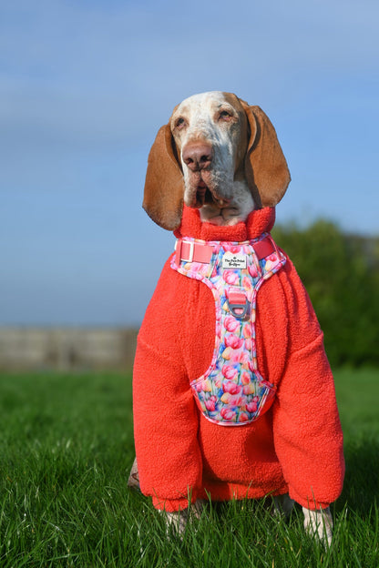 The Tulip Field Adventure Paws Harness