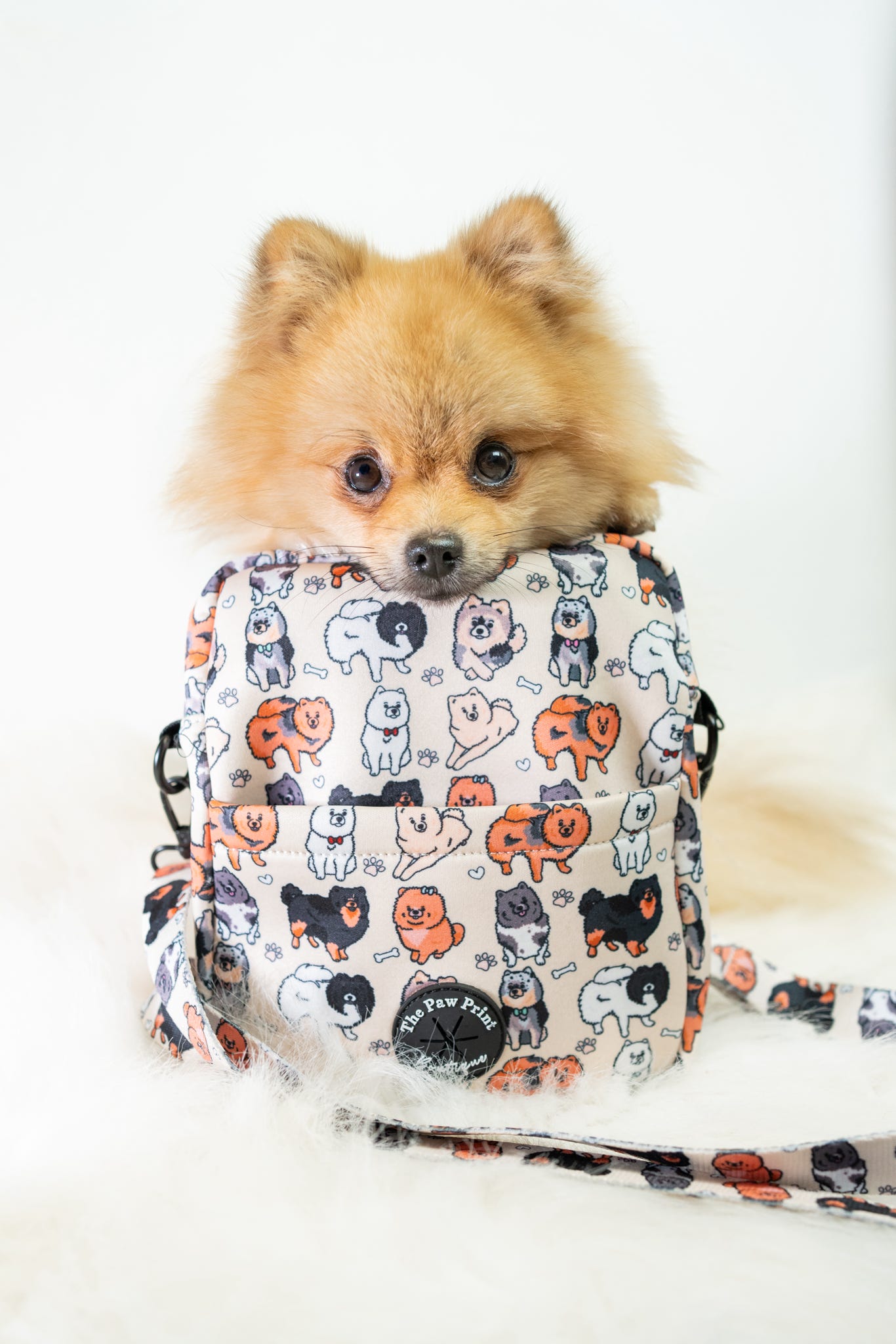The Pomeranian Dog Walking Bag