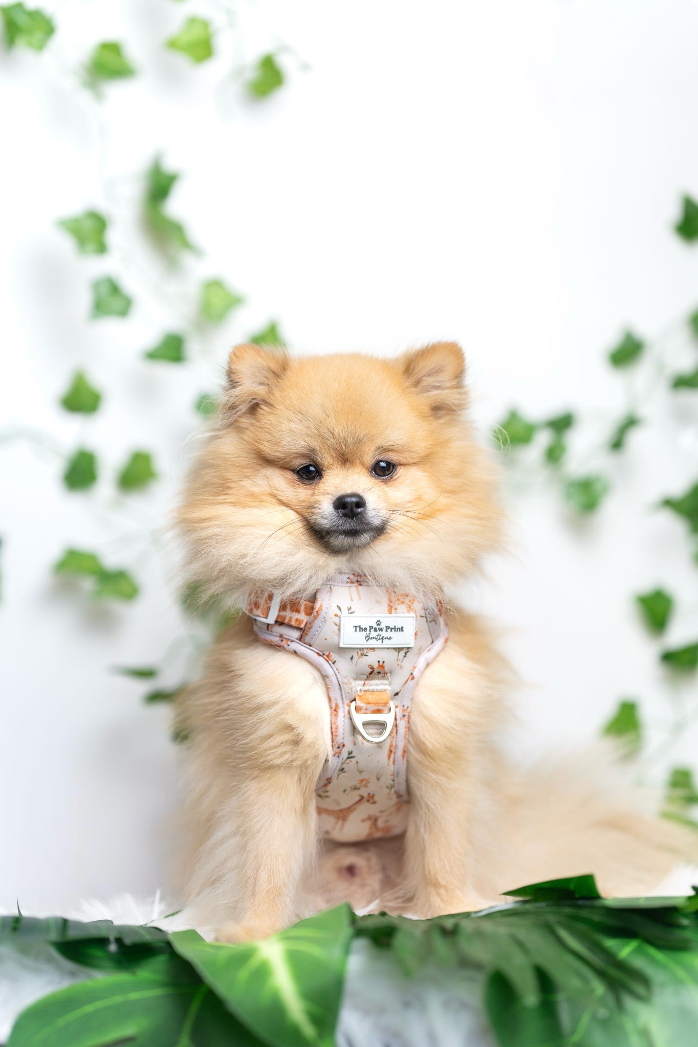 The Graceful Giraffe Adventure Paws Harness