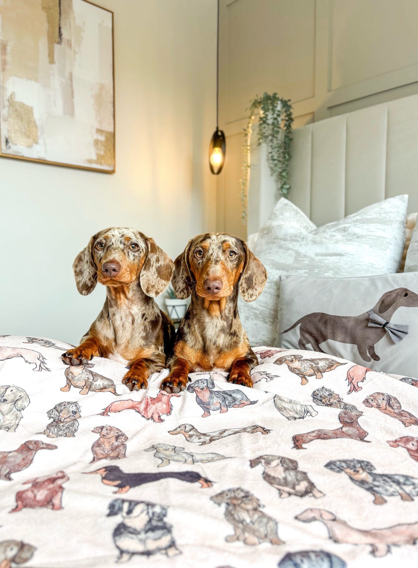 The Dachshund Dog Blanket
