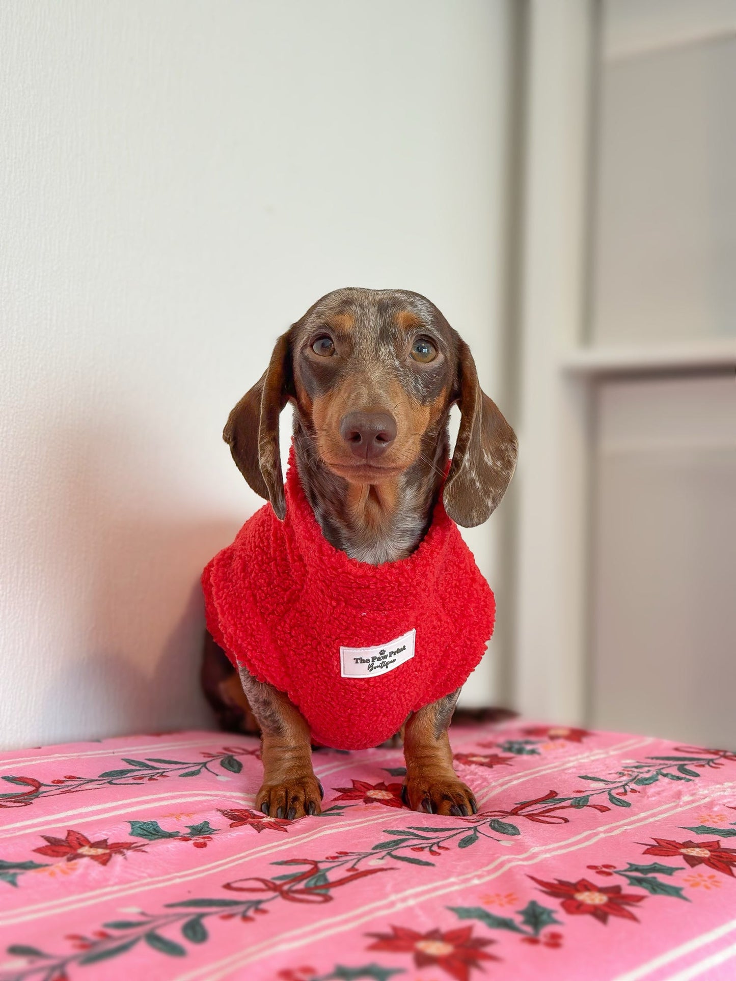 Teddy Fleece - Red Berry