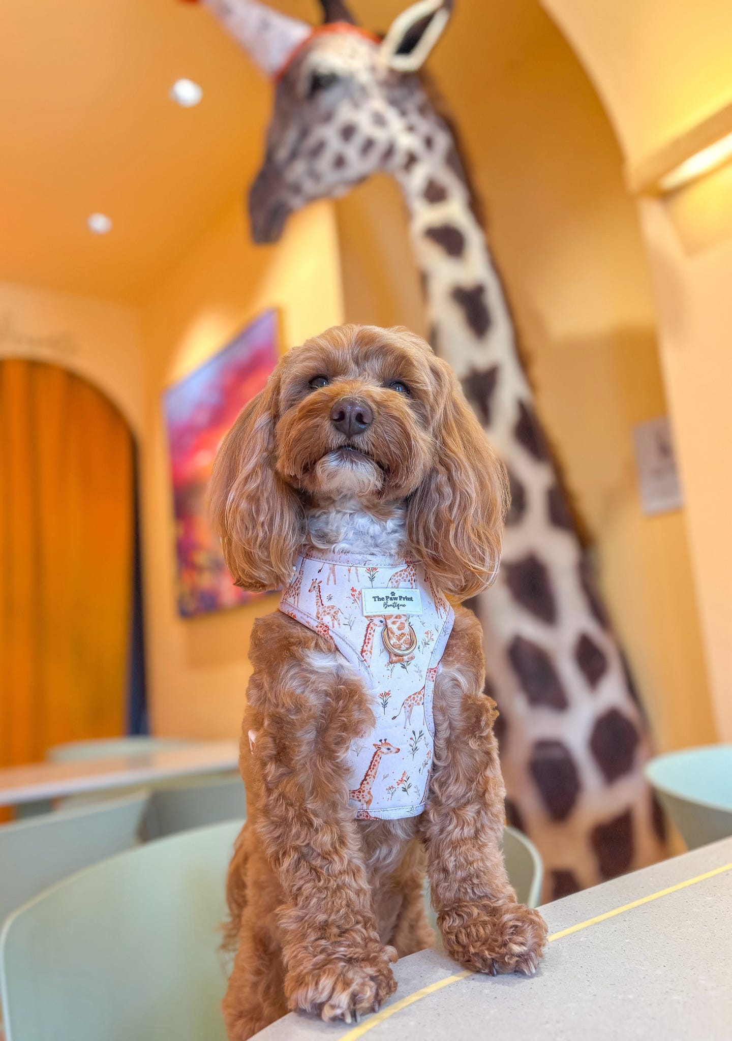 The Graceful Giraffe Adjustable Harness