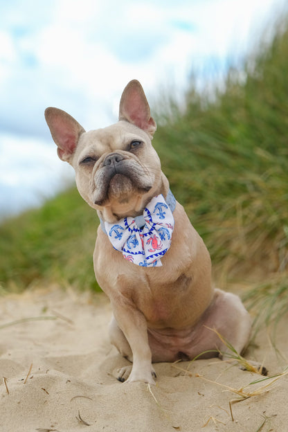 Absolutely Crabulous Bow Tie