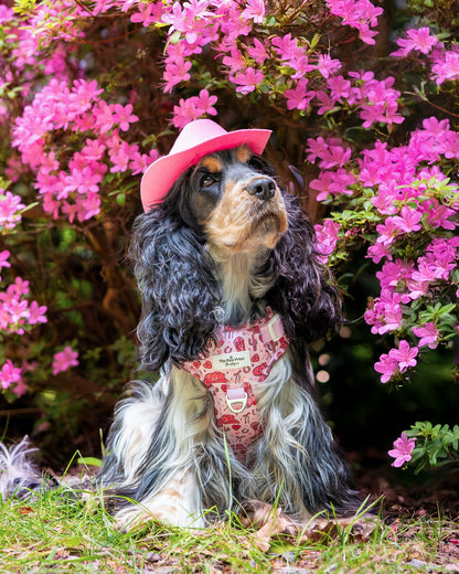 The Giddy up Pup Adventure Paws Harness