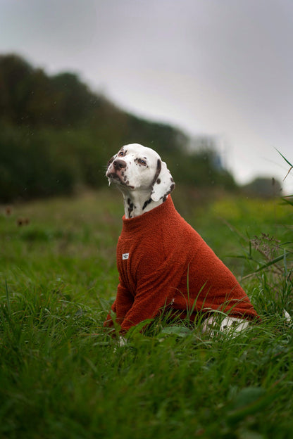 Teddy Fleece - Burnt Orange