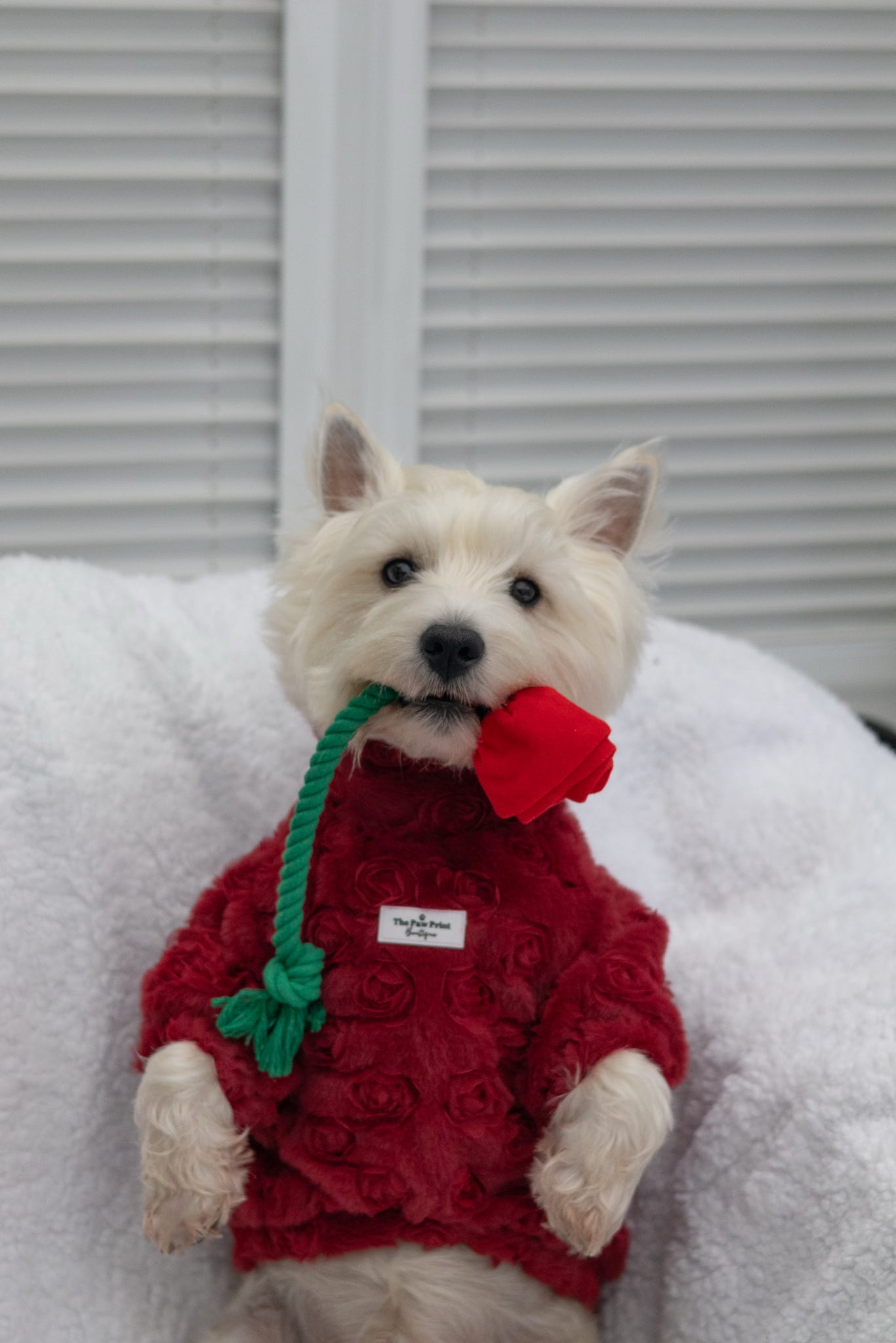 The Roses Fleece - Red