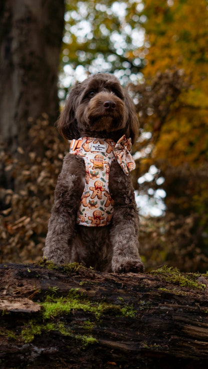 Gingerbread Grove Adventure Paws Harness
