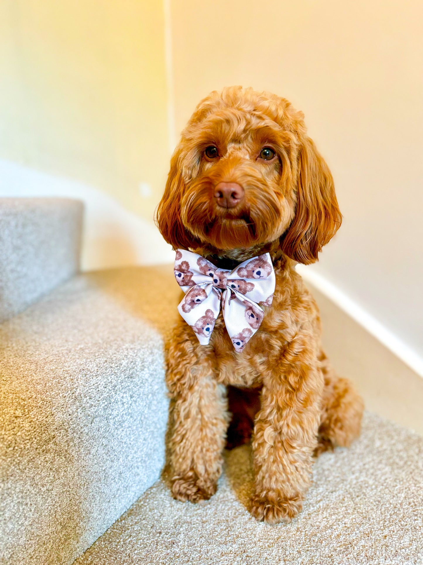 The Little Bear Cub Bow Tie