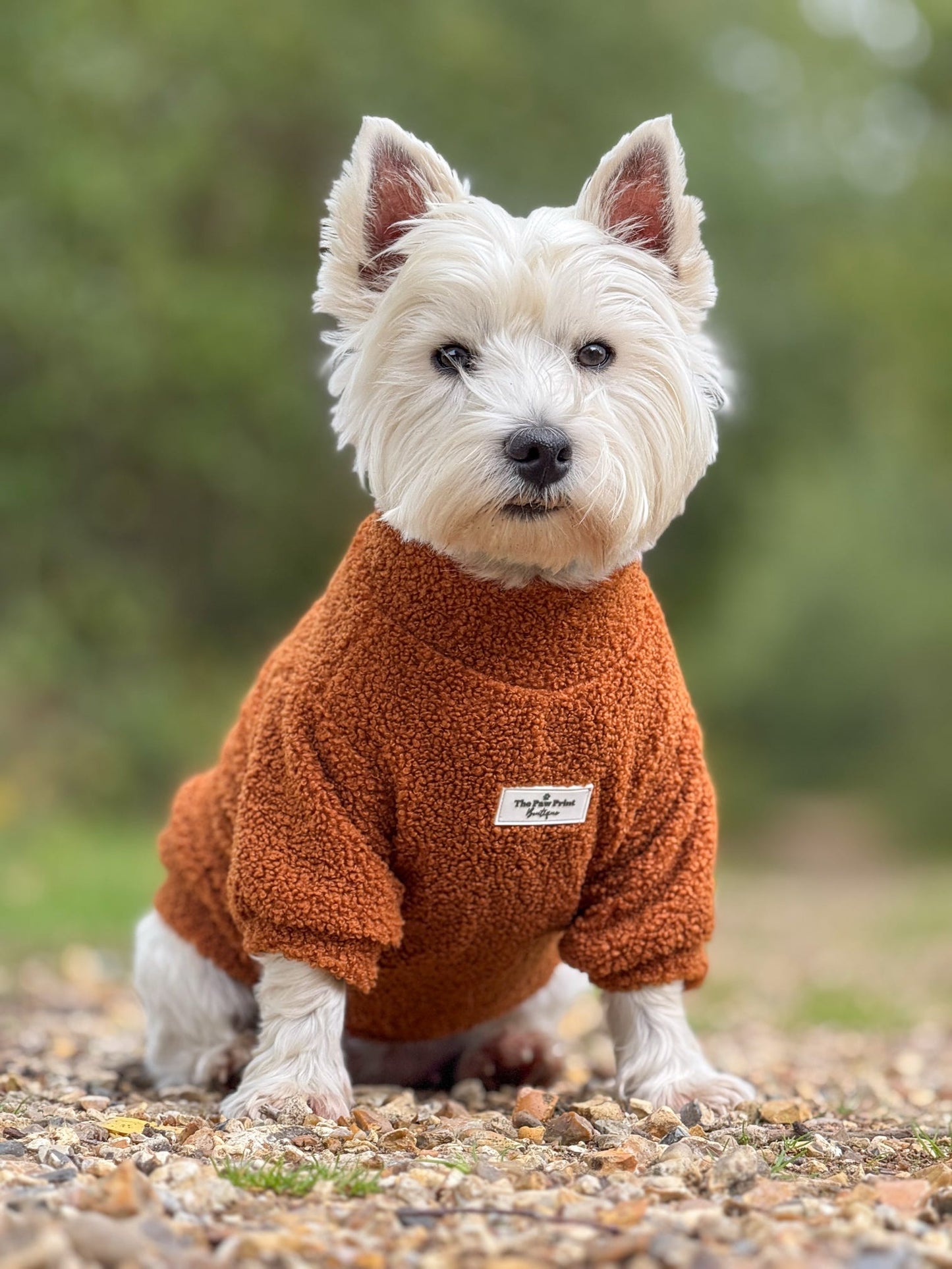 Teddy Fleece - Gingerbread