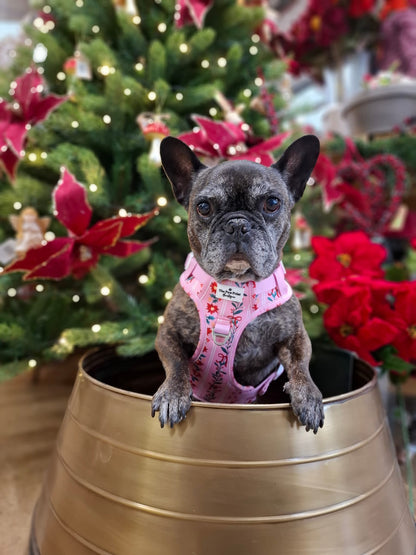 Merry Pinkmas Adventure Paws Harness