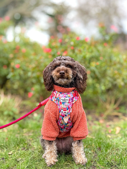The Tulip Field Adventure Paws Harness
