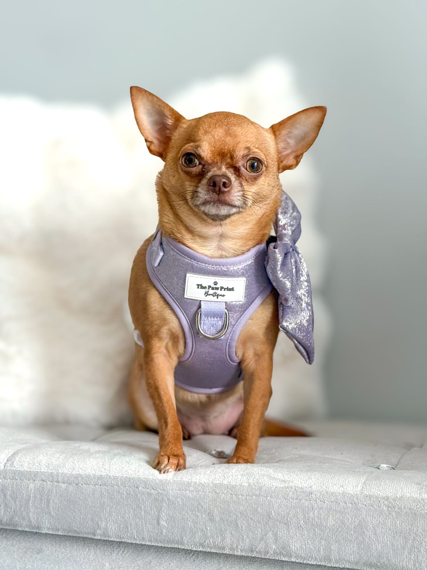 The Lavish Lilac Adjustable Harness