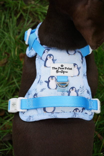 Percy Penguin Adventure Paws Harness