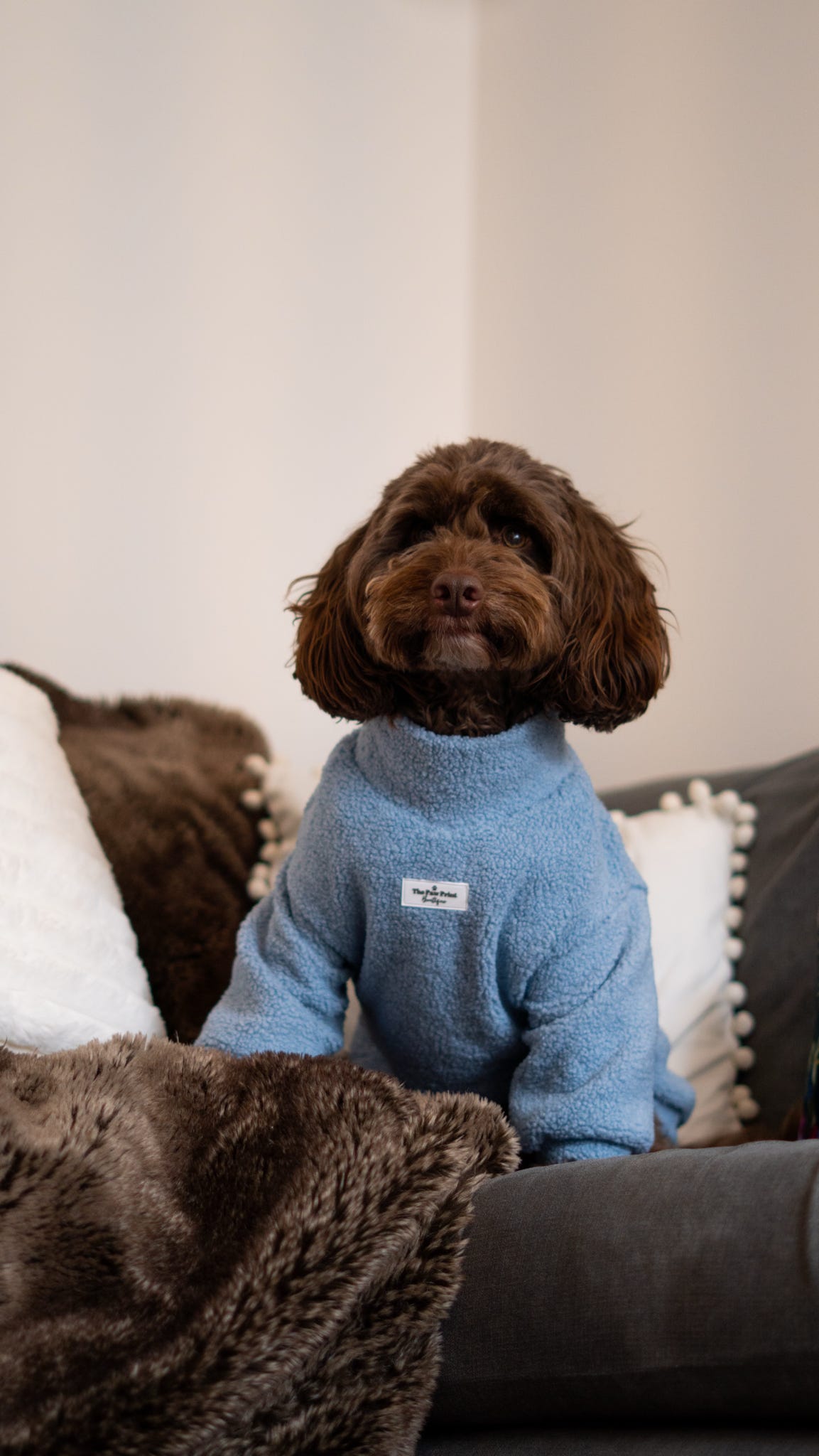 Teddy Fleece - Sky Blue