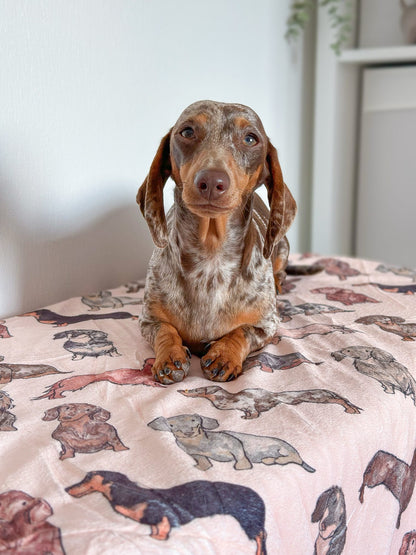The Dachshund Dog Blanket