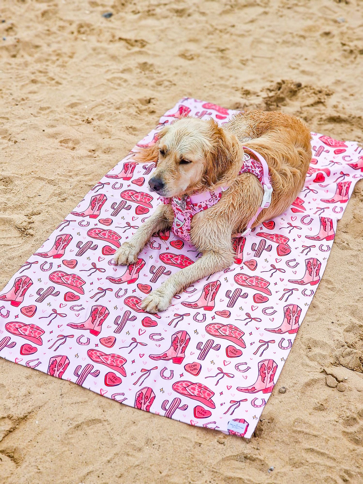 Giddy up Pup Beach Towel