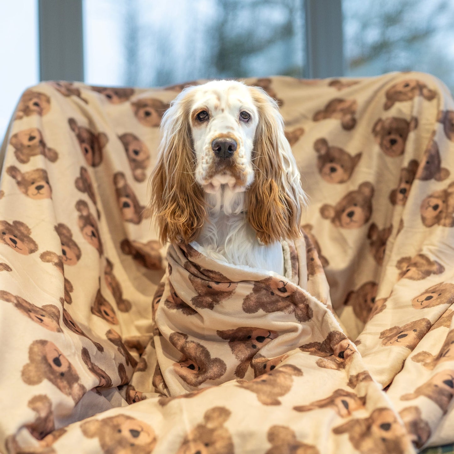 The Little Bear Cub Human Blanket