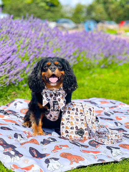 The Cavalier Picnic Mat