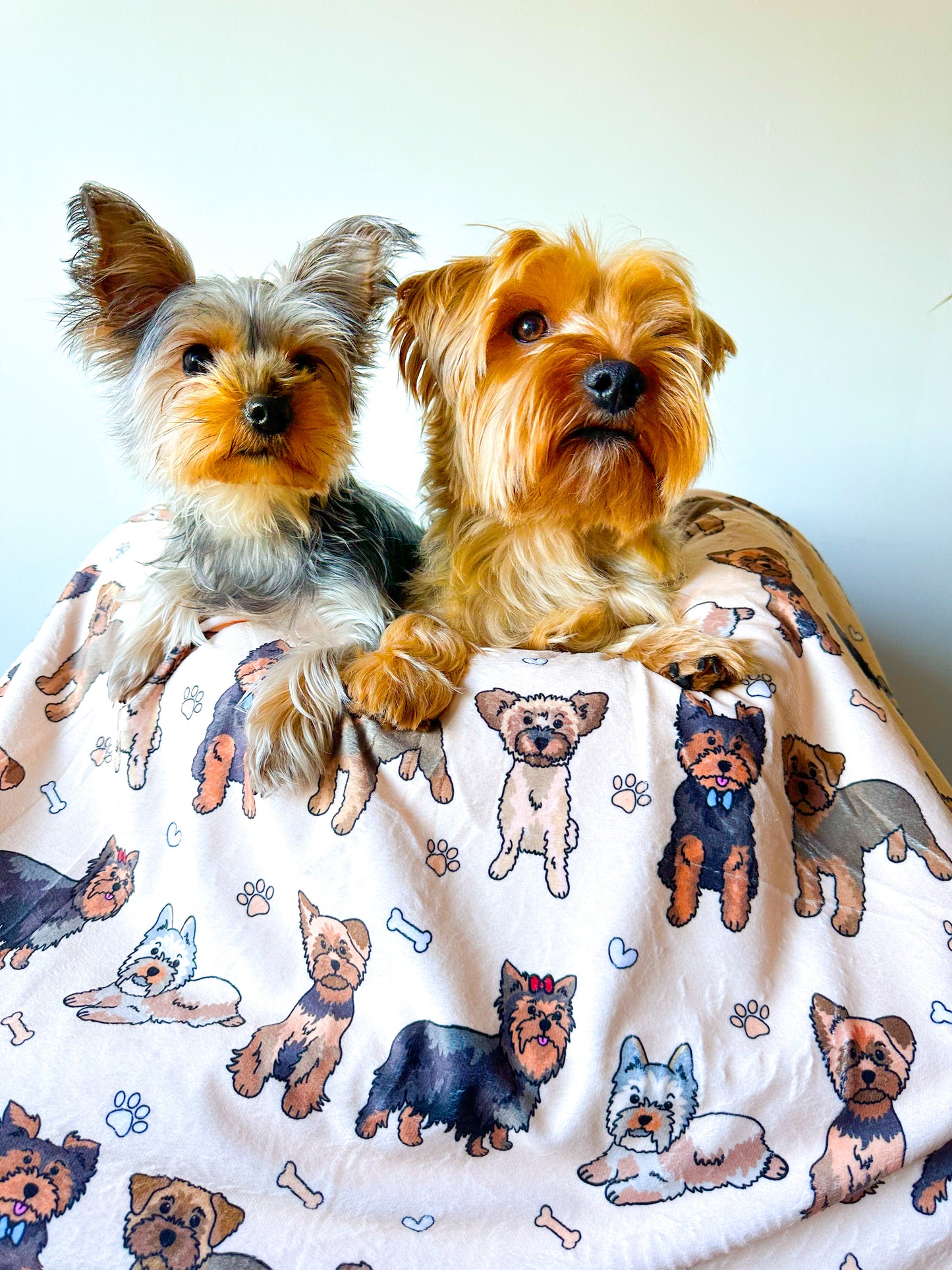 The Yorkie Dog Blanket - Beige