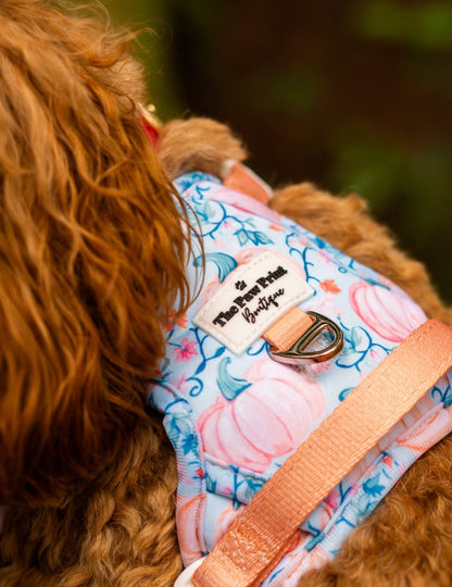 Pablos Pumpkins Adventure Paws Harness