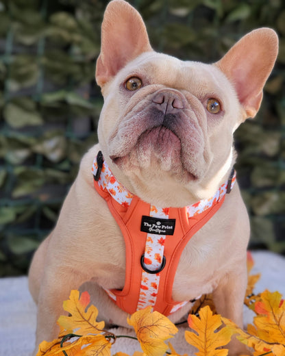 The UnbeLEAFable Adventure Paws Harness (Tough)