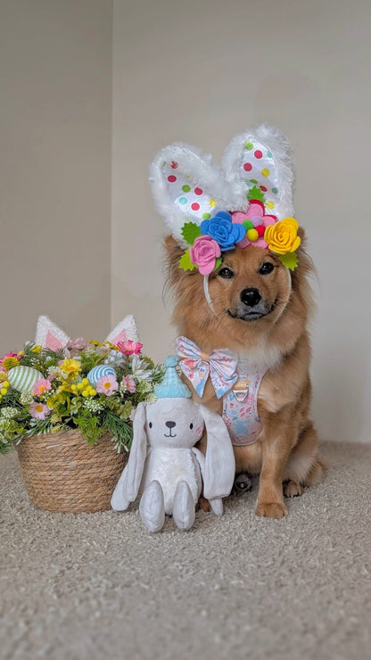 Hop into Bloom Adventure Paws Harness