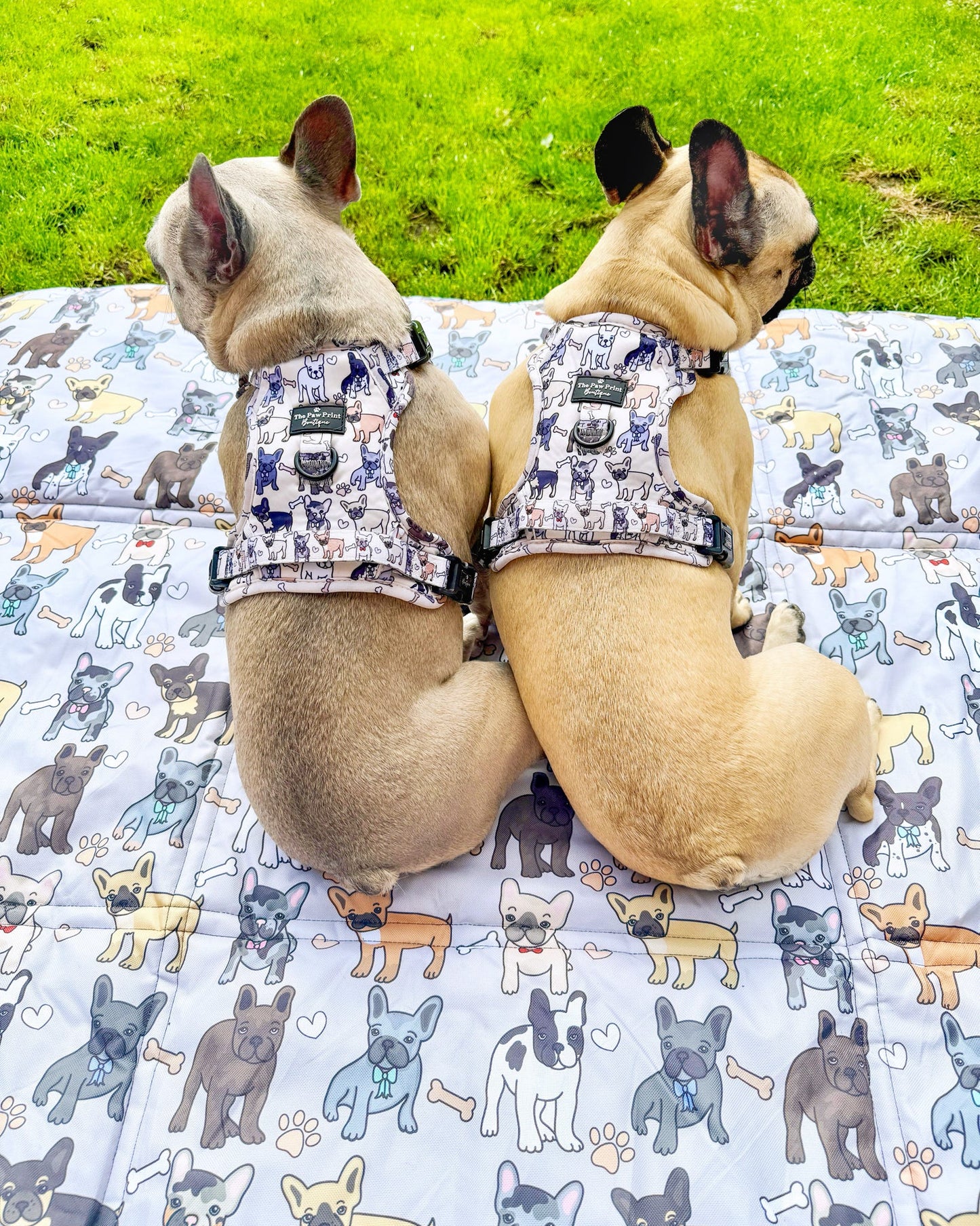 The French Bulldog Picnic Mat