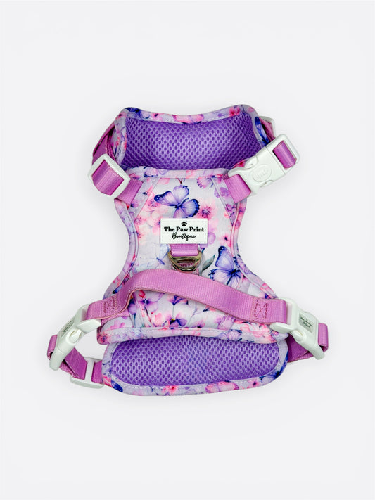 Butterfly Bliss Adventure Paws Harness