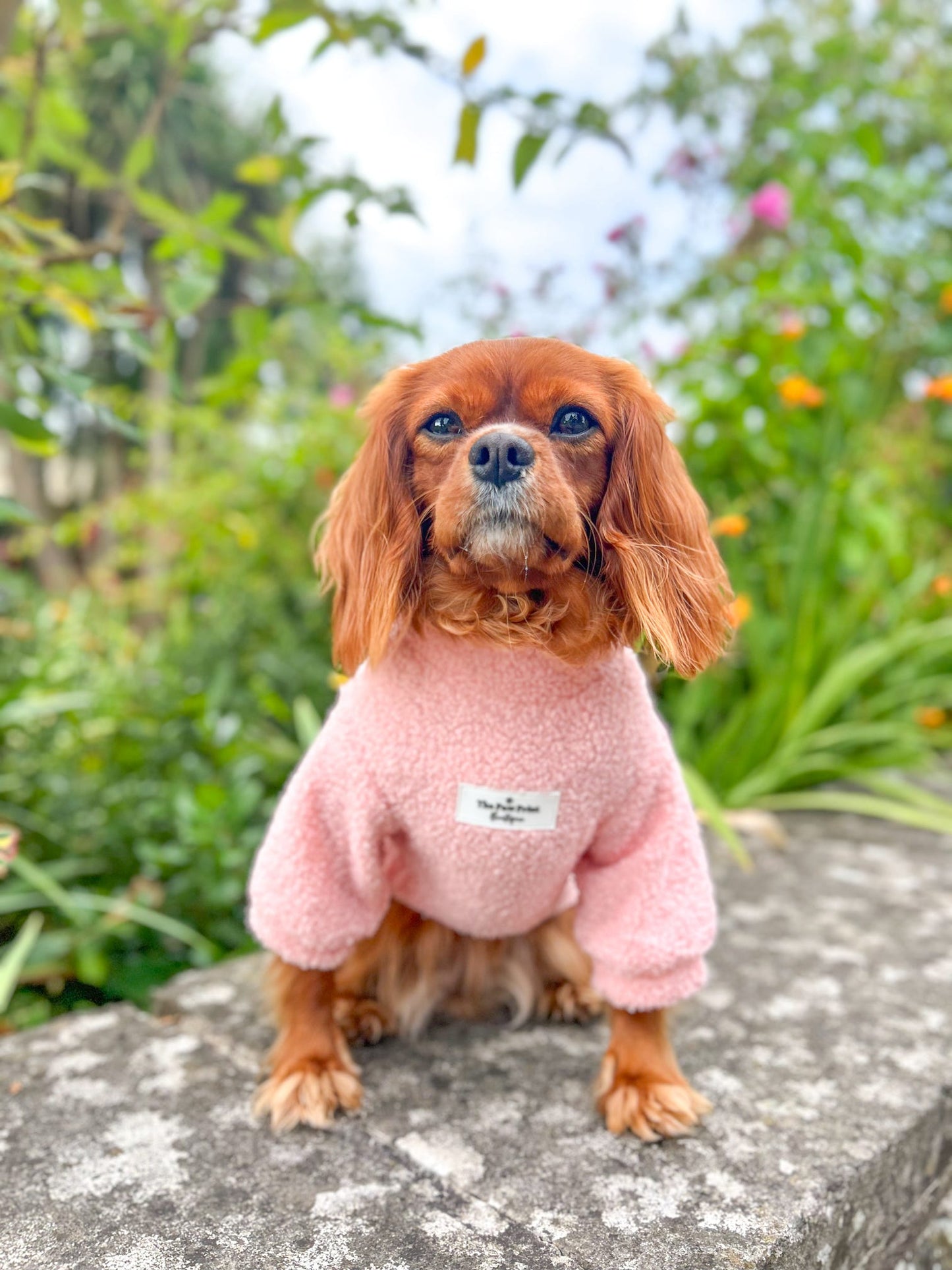 The Baby Pink Teddy Fleece