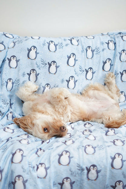 Percy Penguin Human Blanket