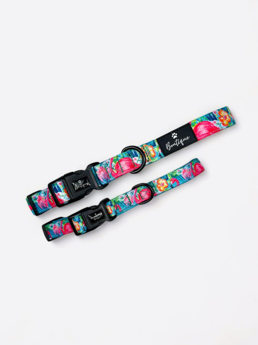 The Tropical Pawradise Collar