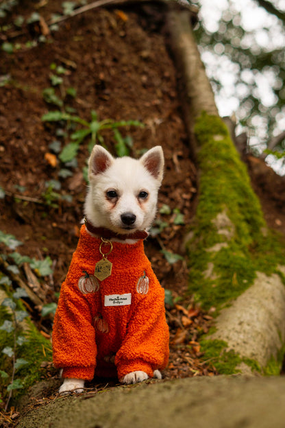 The Embroidered Pumpkins Teddy Fleece